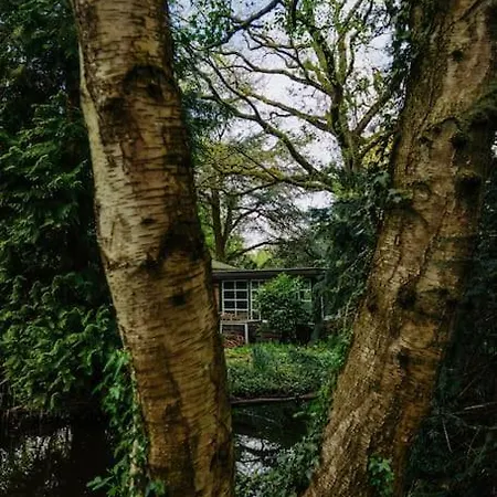 Villa Brand New Bright & Luxurious In Amsterdam!