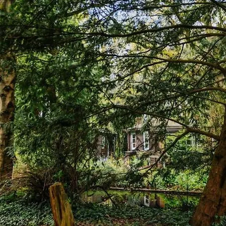 Brand New Bright & Luxurious In Amsterdam! * Амстердам