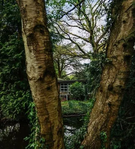 Villa Brand New Bright & Luxurious In Amsterdam!