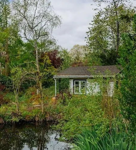 Brand New Bright & Luxurious In Amsterdam! Villa Amsterdam